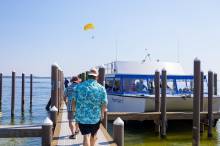 Premier Dolphin Cruise