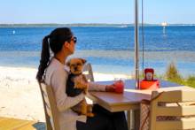 Dog-Friendly spot at Laguna's Beach Bar + Grill