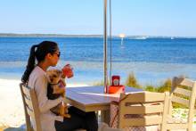 Dog Friendly spots on Pensacola Beach, FL