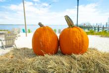 Fall on Pensacola Beach